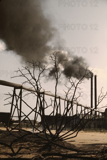 Sawmill at the Greensboro Lumber Co., Greensboro, Ga., 1941?. Creator: Jack Delano.