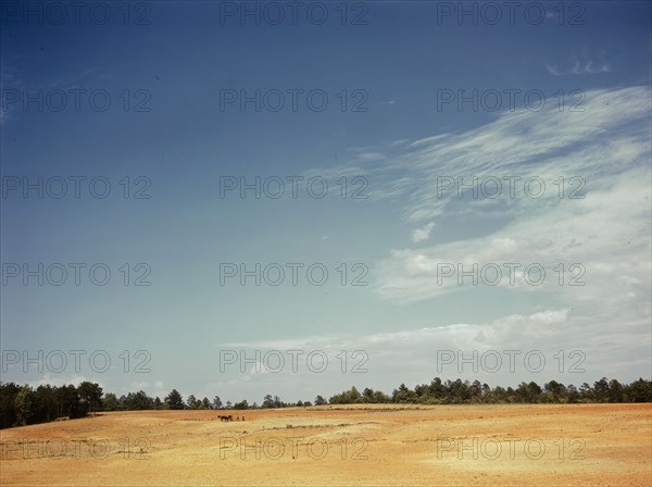 Farm Security Administration borrower plowing on the Jones farm, vicinity of Greshamville, Ga., 1941 Creator: Jack Delano.