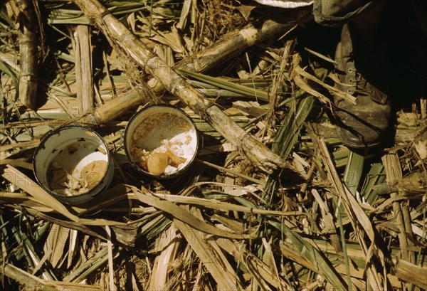 Rice and papaya in the lunch of a sugar worker on a plantation..., Guanica, Puerto Rico, 1942. Creator: Jack Delano.