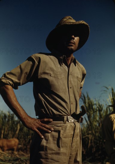 Man in a sugar-cane field during harvest, vicinity of Rio Piedras? Puerto Rico, 1941 or 1942. Creator: Jack Delano.
