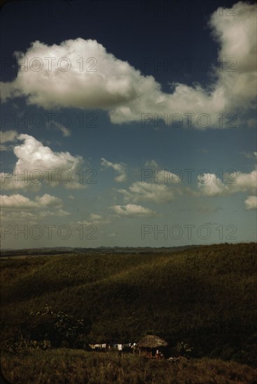 Sugar cane land, vicinity of Rio Piedras, Puerto Rico, 1941. Creator: Jack Delano.