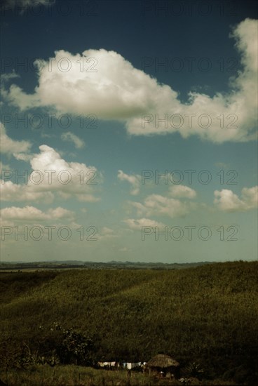 Sugar cane land, vicinity of Rio Piedras, Puerto Rico, 1941. Creator: Jack Delano.