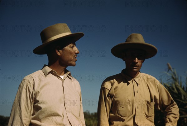 Sugar cane workers, vicinity of Rio Piedras, Puerto Rico, 1941. Creator: Jack Delano.