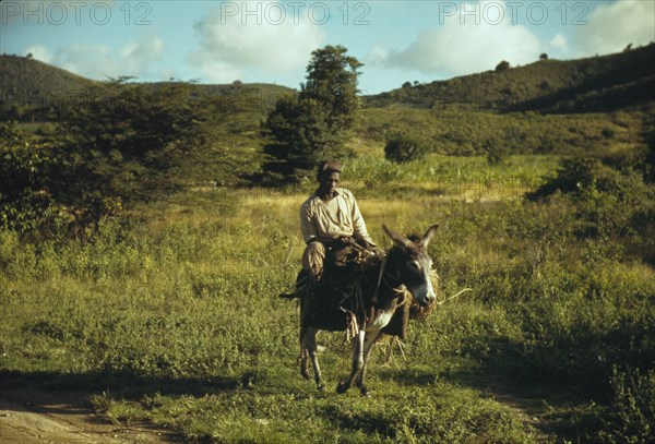 St. Croix, Virgin Islands, 1941. Creator: Jack Delano.