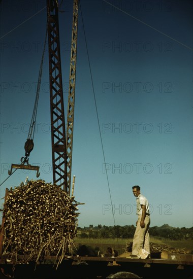 Crane at a "central" sugar cane gathering place, San Sebastian vicinity, Puerto Rico, 1942. Creator: Jack Delano.