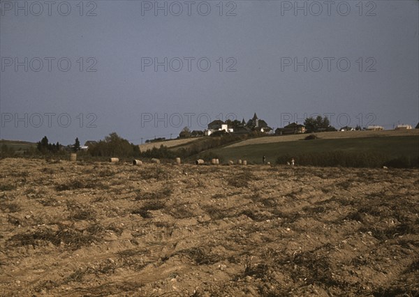 Farm in the vicinity of Van Buren, Aroostook County, Me., 1940. Creator: Jack Delano.