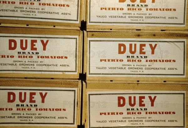 Tomato crates at the Yauco cooperative tomato growers' association, Puerto Rico, 1942. Creator: Jack Delano.