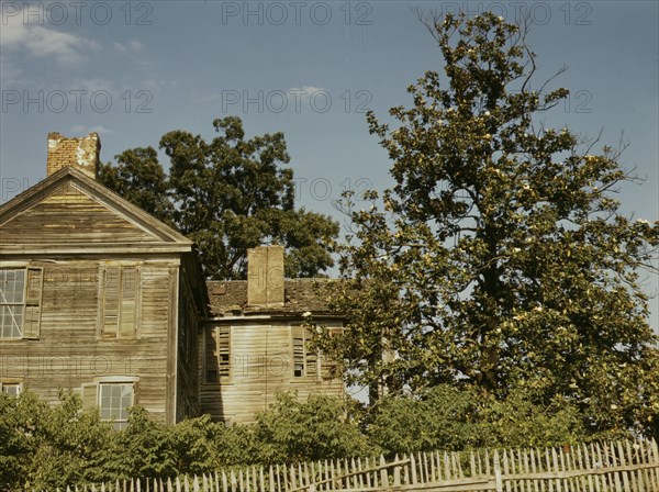 House near White Plains, Georgia?, ca. 1941. Creators: Marion Post Wolcott, Jack Delano.