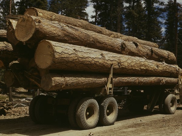 Truck load of ponderosa pine, Edward Hines Lumber Co. operations..., Grant County, Oregon, 1942. Creator: Russell Lee.