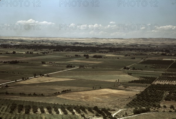 Cherry orchards and farming land, Emmett, Idaho, 1941. Creator: Russell Lee.