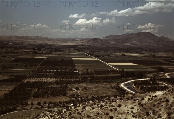 Cherry orchards and farming land, Emmett, Idaho, 1941. Creator: Russell Lee.