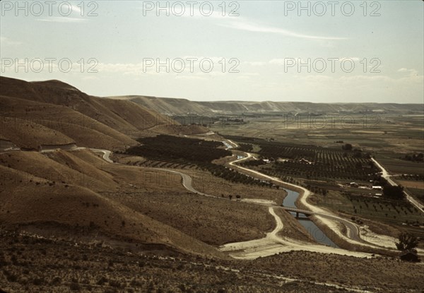 Cherry orchards and irrigation ditch, Emmett, Idaho, 1941. Creator: Russell Lee.