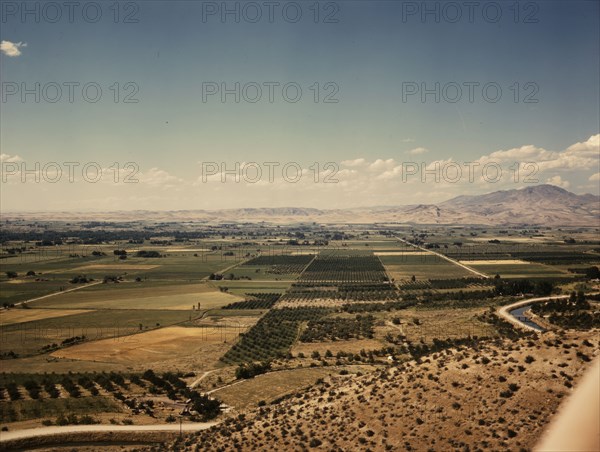 Cherry orchards, farm lands and irrigation ditch at Emmett, Idaho, 1941. Creator: Russell Lee.