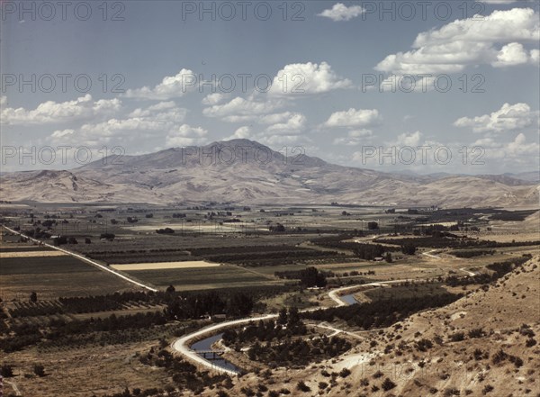 Cherry orchards, farm lands and irrigation ditch at Emmett, Idaho, 1941. Creator: Russell Lee.