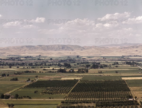 Cherry orchards, farm lands and irrigation ditch at Emmett, Idaho, 1941. Creator: Russell Lee.