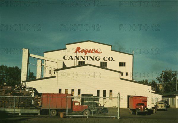 Canning plant where peas are principal project, Milton-Freewater, Oregon, 1941. Creator: Russell Lee.