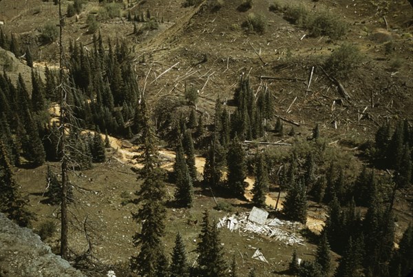 Mountain streams in Ouray County, Colorado, 1940. Creator: Russell Lee.