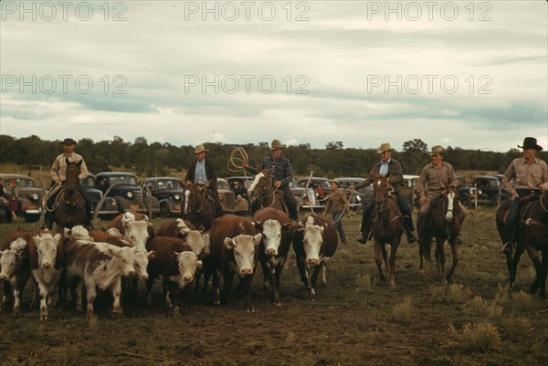 Driving calves into the corral for roping at the rodeo of the Pie Town, New Mexico Fair, 1940. Creator: Russell Lee.