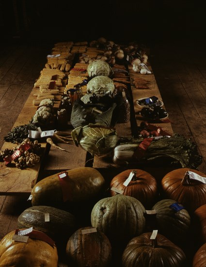 Exhibit of crops and vegetables at the Pie Town, New Mexico Fair, 1940. Creator: Russell Lee.