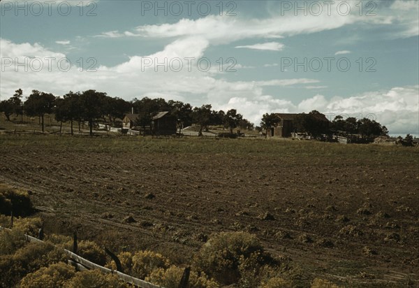 Field of beans and farmstead of Bill Stagg, homesteader, Pie Town, New Mexico, 1940. Creator: Russell Lee.