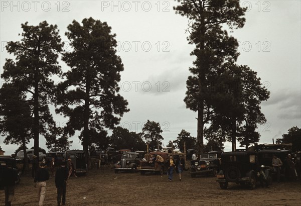 Many automobiles were parked in the grove at the Pie Town, New Mexico Fair, 1940. Creator: Russell Lee.