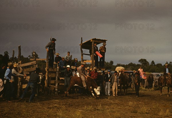 Rodeo at the Pie Town, New Mexico Fair, 1940. Creator: Russell Lee.