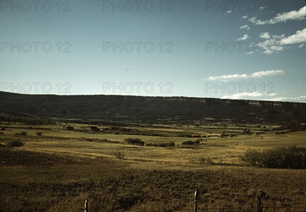 Farmland in Pleasant Valley near Ridgway, Ouray County, Colorado, 1940. Creator: Russell Lee.