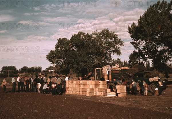 Distributing surplus commodities, St. Johns, Ariz., 1940. Creator: Russell Lee.