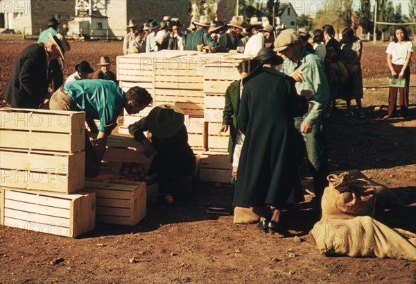 Distributing surplus commodities, St. Johns, Ariz., 1940. Creator: Russell Lee.