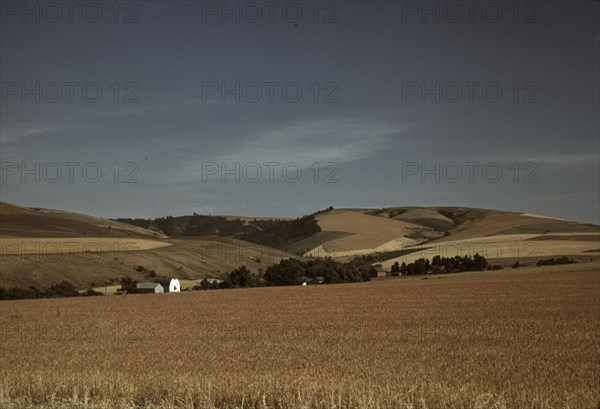 Wheat farm, Walla Walla, Washington, 1941. Creator: Russell Lee.