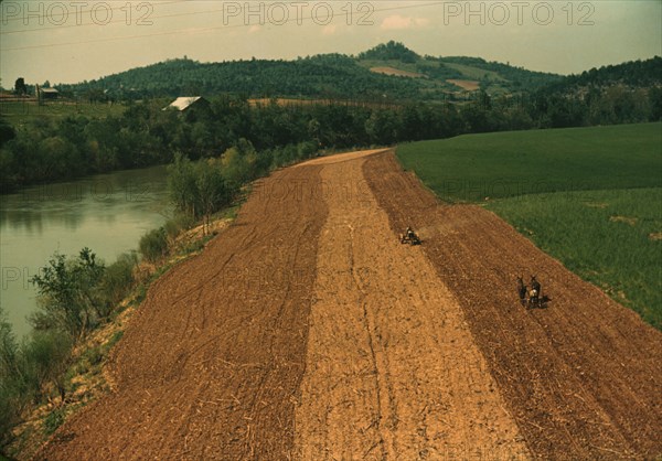 Planting corn along a river in northeastern Tennessee, 1940. Creator: Marion Post Wolcott.