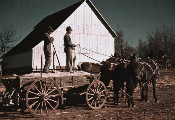 Southeastern Georgia?, ca. 1940. Creator: Marion Post Wolcott.