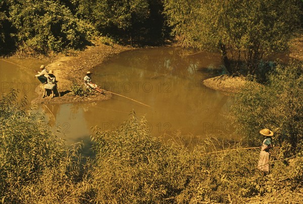 Negroes fishing in creek near cotton plantations outside Belzoni, Miss. Delta, 1939. Creator: Marion Post Wolcott.