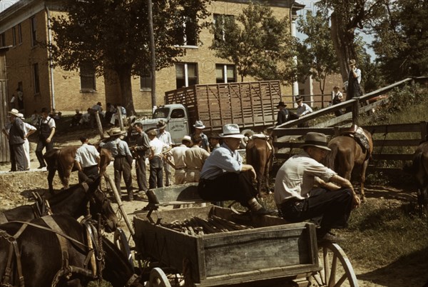 Mountaineers and farmers trading mules and horses on "Jockey St.,", Campton, Wolfe County, Ky., 1940 Creator: Marion Post Wolcott.