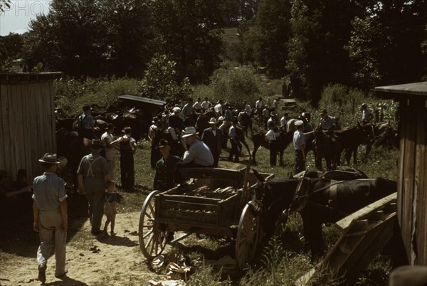 Mountaineers and farmers trading mules and horses on "Jockey St.,", Campton, Wolfe County, Ky., 1940 Creator: Marion Post Wolcott.