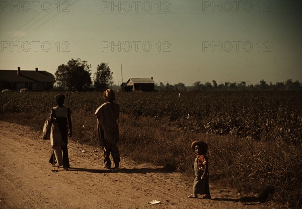 Marcella Plantation, Mileston, Miss., 1940. Creator: Marion Post Wolcott.