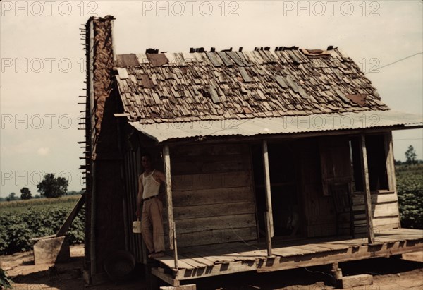 An old tenant house with a mud chimney and cotton growing up to its door..., Melrose, La., 1940. Creator: Marion Post Wolcott.