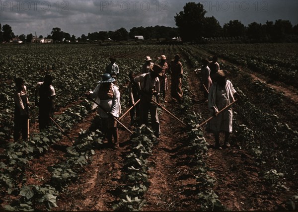 Bayou Bourbeau plantation operated by Bayou Bourbeau Farmstead Assoc..., Natchitoches, La., 1940. Creator: Marion Post Wolcott.