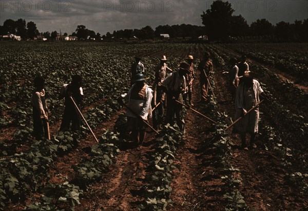 Bayou Bourbeau plantation operated by Bayou Bourbeau Farmstead Assoc..., Natchitoches, La., 1940. Creator: Marion Post Wolcott.