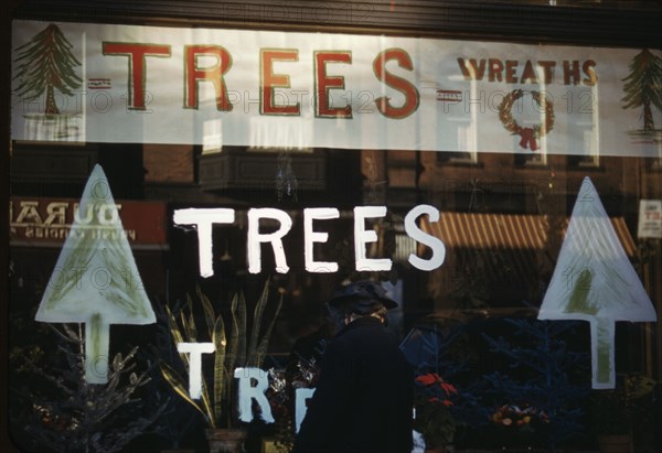 Christmas trees and wreaths in store window display, between 1941 and 1942. Creator: Unknown.