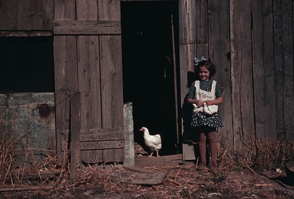 Girl next to barn with chicken, between 1941 and 1942. Creator: Unknown.