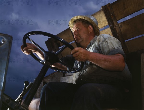 Truck driver at TVA's Douglas Dam, Tennessee, 1942. Creator: Alfred T Palmer.