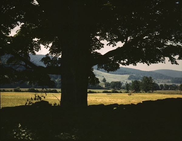 Farmland along the upper Delaware River in New York state, 1943. Creator: John Collier.