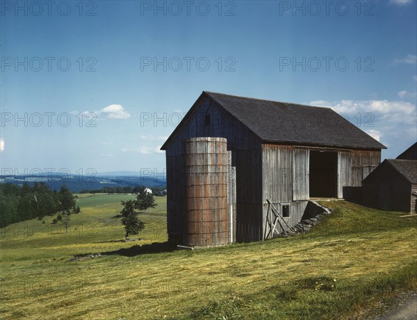 Farmland in the Catskill country, in New York State, 1943. Creator: John Collier.