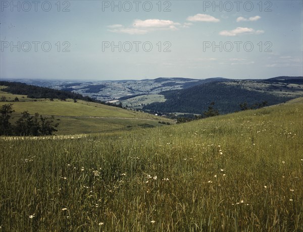 Farmland in the Catskill Mountains, Richmondsville, N.Y., 1943. Creator: John Collier.