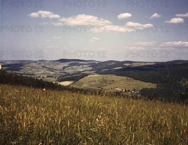 Farmland in the Catskill Mountains, Richmondsville, N.Y., 1943. Creator: John Collier.