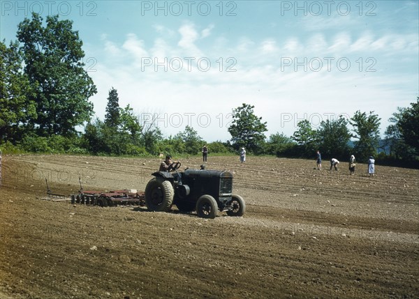 Farm owned by James Pompey, who 20 years ago came from Italy..., Southington, Connecticut, 1942. Creator: Charles Fenno Jacobs.