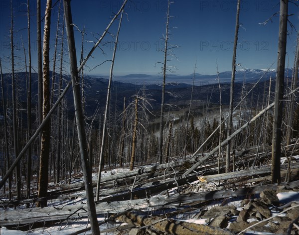 Sangre de Cristo Mountain, New Mexico, 1943. Creator: John Collier.