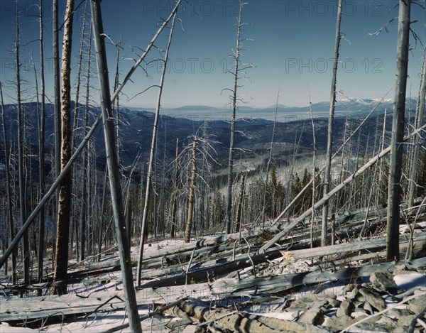 Sangre de Cristo Mountains, looking north into Colorado, 1943. Creator: John Collier.