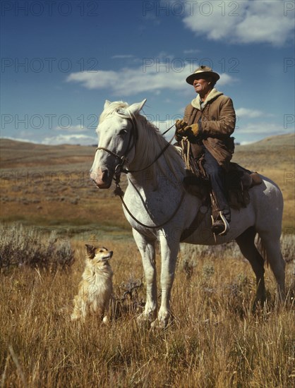Shepherd with his horse and dog on Gravelly Range, Madison County, Montana, 1942. Creator: Russell Lee.
